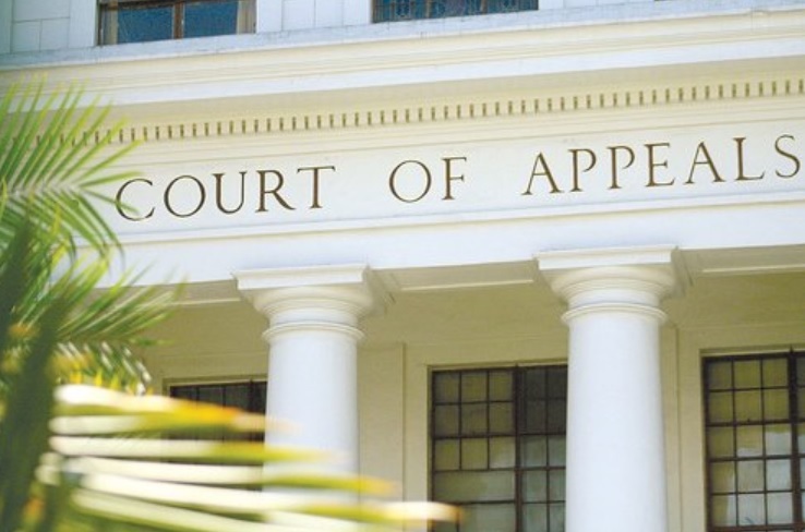 CA appeal lawyer